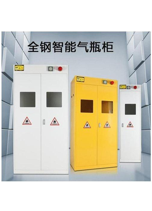 全钢智能气瓶柜